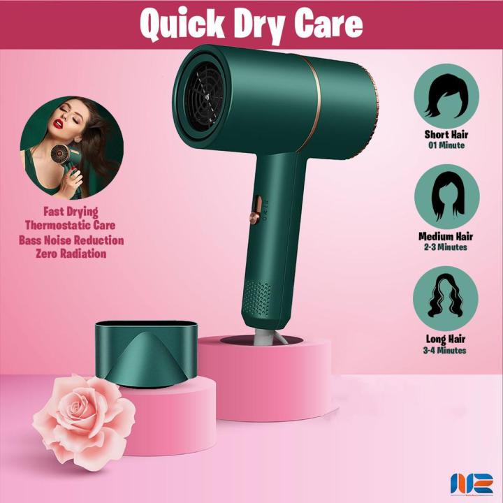 Professional Hair Dryer - 3000W Professional Ionic Stylish Hair Dryer with Over Heat Protection Nozzles,Powerful Blow Dryer for Fast Drying,Compact & Lightweight Travel Portable